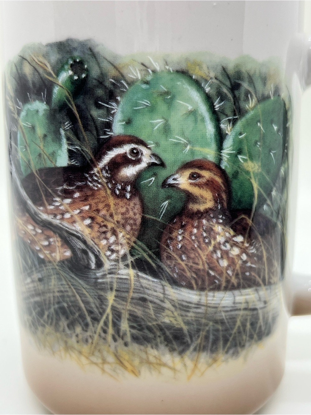 Bobwhite quail & prickly pear cactus mug - Picture 7 of 8